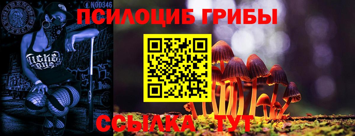 Псилоцибиновые грибы MAGIC MUSHROOMS Учалы